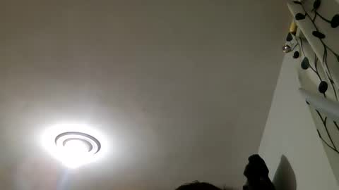 Conrad online show from October 25, 3:19 am