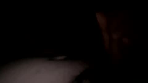 coolgame97965 online show from September 9, 10:37 am