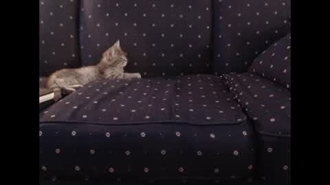 copper_crotch online show from December 14, 10:28 pm