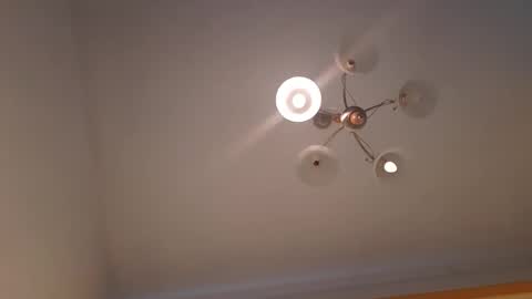 Corvus online show from January 19, 10:28 am