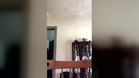 countryjoe2002 online show from April 6, 8:09 pm