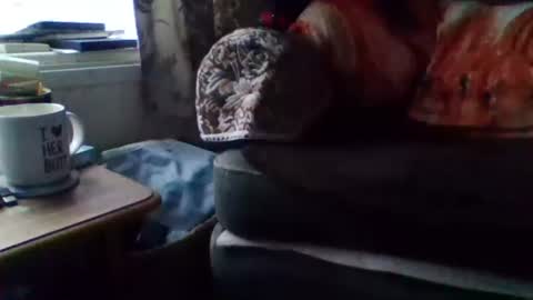 Snapshot of courieral1 chatting on February 15, 8:00 am courieral1 online show from February 15, 8:00 am