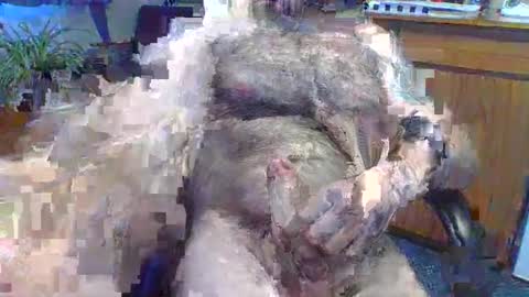 Cpt hairy online show from May 24, 1:39 pm