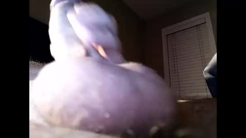 Cranada777 online show from February 10, 1:22 pm