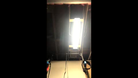 cubinheat online show from February 28, 8:08 pm