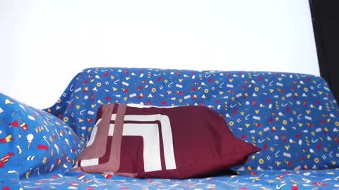 Sebby online show from January 4, 7:23 pm