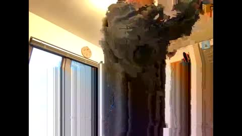 Billy online show from January 11, 8:18 am