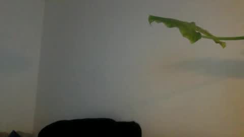 curiousnesssssss online show from January 7, 8:03 pm