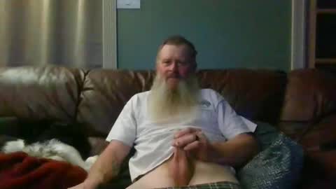 Snapshot of dachshund01 chatting on October 24, 3:52 am dachshund01 online show from October 24, 3:52 am