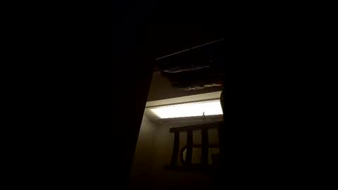 daddy33383 online show from April 16, 9:39 pm