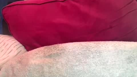 Snapshot of daddyy008 chatting on September 10, 9:57 pm daddyy008 online show from September 10, 9:57 pm