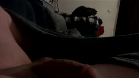 daleauger online show from January 17, 4:04 am