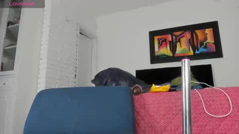 Snapshot of dalejandrov chatting on October 5, 10:03 pm     online show from October 5, 10:03 pm