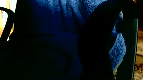 Dammerl online show from April 6, 5:25 pm