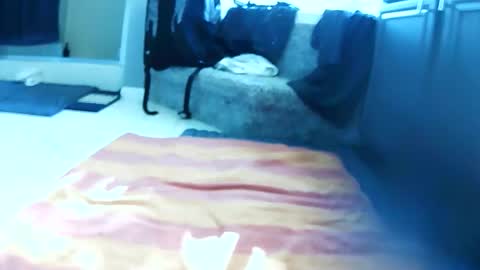 dank 2018 online show from April 16, 2:06 pm