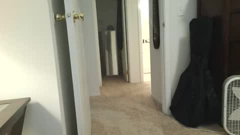 dapppper online show from January 10, 12:42 pm