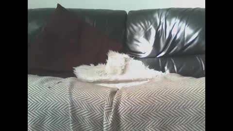 DaRealDonDaddy online show from March 9, 11:58 am