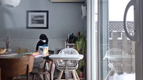 Dark   Knight online show from January 31, 2:07 pm