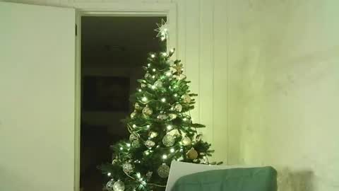 Dario online show from December 30, 5:44 pm