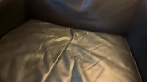 dayblue online show from August 7, 2:56 pm