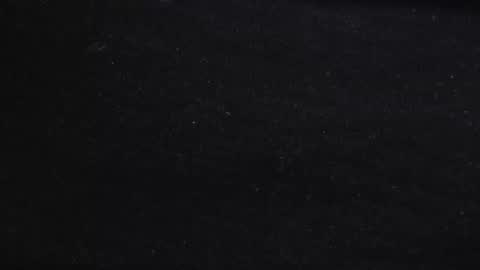 degenden online show from February 1, 5:58 pm