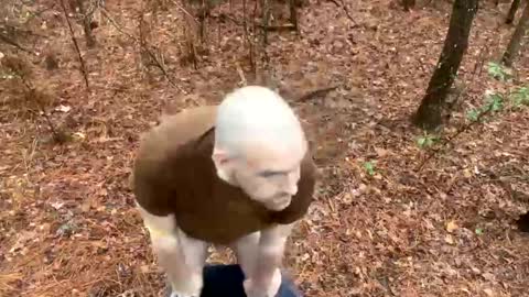 denveversbb online show from February 13, 7:10 pm