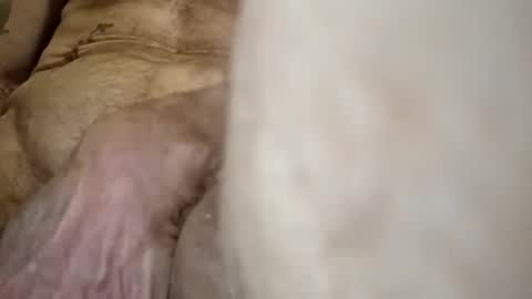 deviilanse online show from February 23, 5:09 am