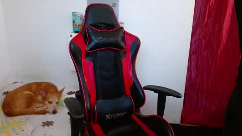 Snapshot of dick_monster23cm chatting on December 17, 8:43 pm dick_monster23cm online show from December 17, 8:43 pm