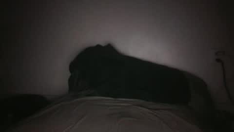 dicktracey007 online show from January 21, 6:01 am