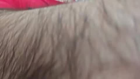 dios891 online show from April 25, 1:03 pm