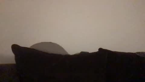 Dizzydig online show from February 11, 7:12 am