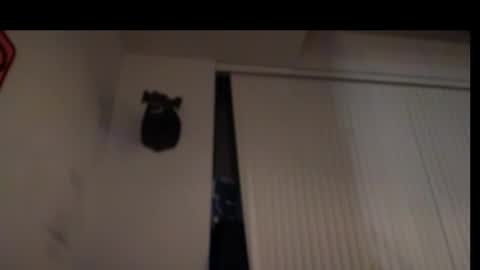 DJ Chaterbate online show from March 10, 3:01 am