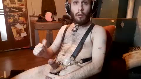 dogwithamohawk online show from February 7, 2:37 pm