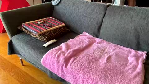 Alfredo online show from April 7, 10:37 am