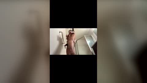 drip7 online show from December 23, 7:28 am