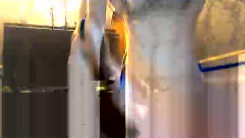 drippydickboy online show from January 13, 5:50 pm