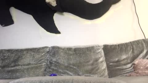 2xTheTrouble online show from February 8, 3:23 am