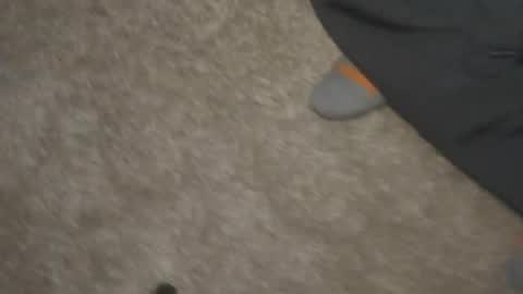 Dualsport online show from February 11, 11:32 am