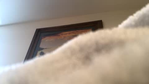 ducebabydee online show from April 6, 4:52 pm