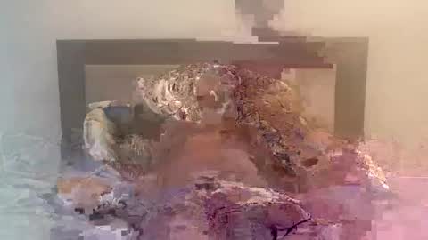 dudecuzbeo online show from February 5, 11:44 am