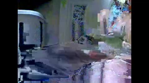 levi online show from March 24, 7:46 am