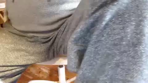 dunany101 online show from January 2, 4:02 pm