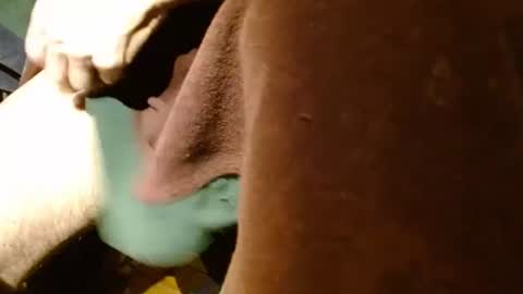 dunany101 online show from December 5, 5:04 am