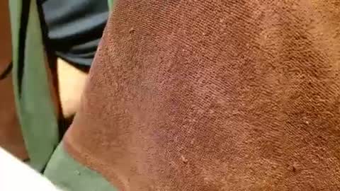 dunany101 online show from March 7, 12:48 am