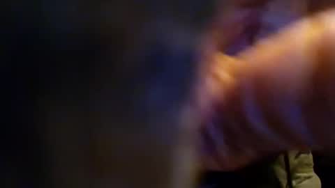 dusterdime online show from September 26, 2:37 pm