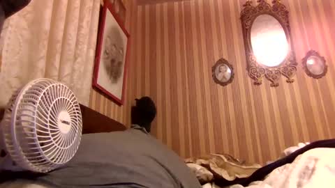 duvalljames341 online show from November 2, 1:54 am