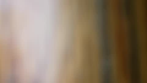 dVe1oPe online show from November 10, 11:15 am