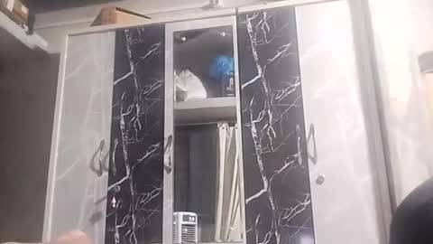 Rockhandsome online show from March 27, 5:25 pm