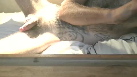 dylp400 online show from September 23, 9:52 am