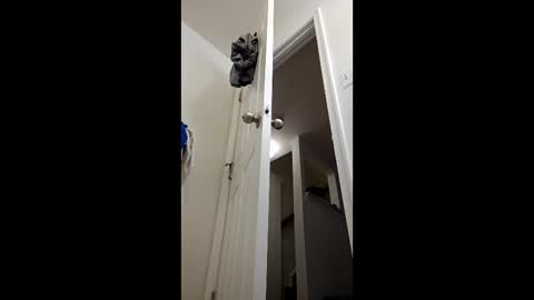 easternjerk online show from February 5, 10:55 am